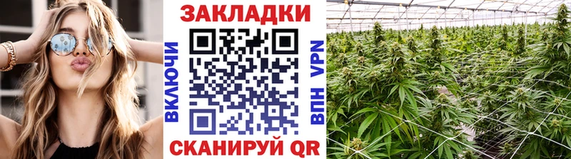 Купить наркоту Кимры Cocaine Псилоцибиновые грибы Бошки Шишки Кодеин Меф мяу мяу Alpha PVP АМФ