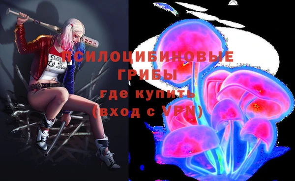 меф Дубна