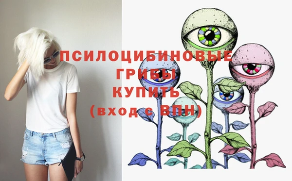 прущие грибы Алексин