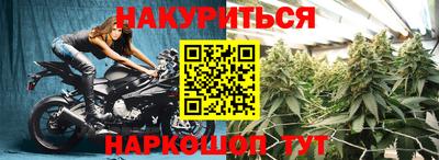 гашик Краснодар