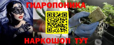 гашик Краснодар