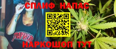 гашик Краснодар