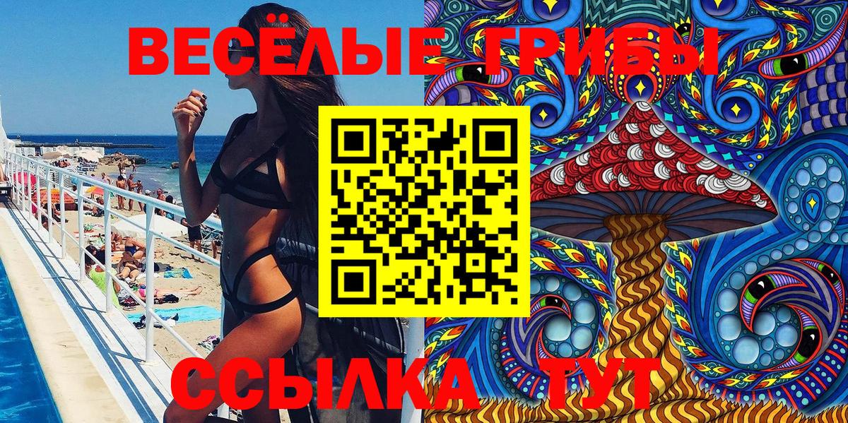 Галлюциногенные грибы Psilocybine cubensis  Вход с VPN  Псилоцибиновые грибы Psilocybine cubensis  Кимры 